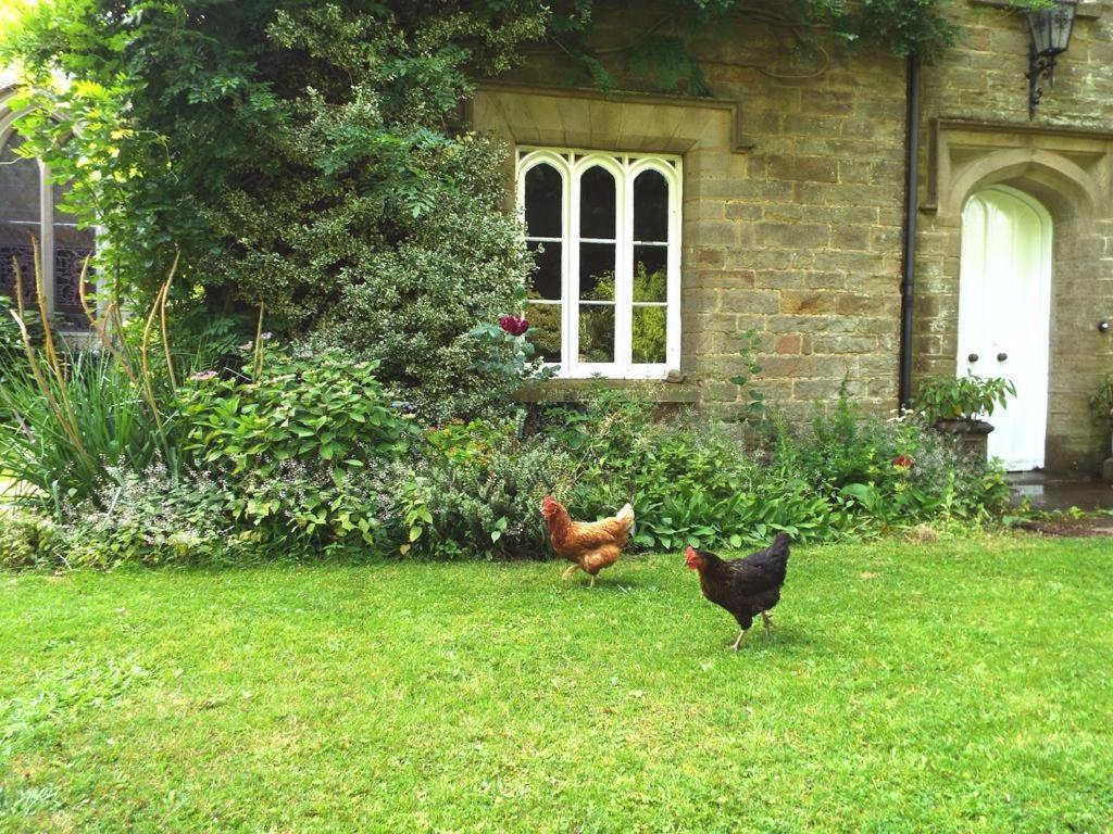 Old Vicarage B&B Coleford  Extérieur photo
